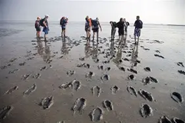 Wadlopen